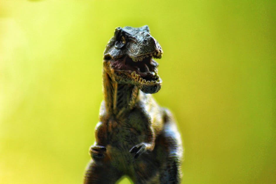Some Sauropod Dinosaurs Laid Eggs Smaller Than a Football Despite Weighing 70 Tonnes