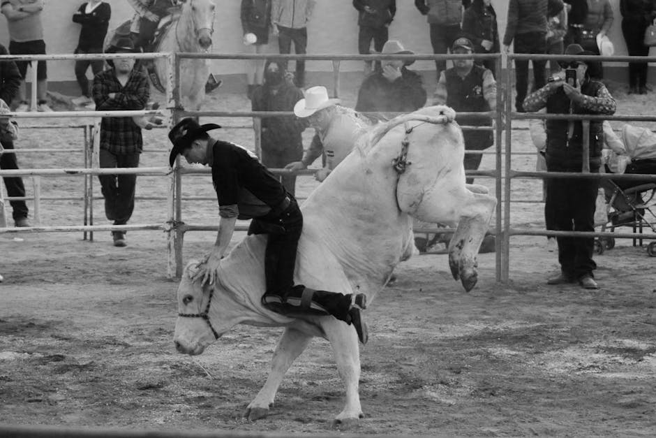 Zeus Transformed Into a Magnificent White Bull to Abduct Europa in Greek Mythology.