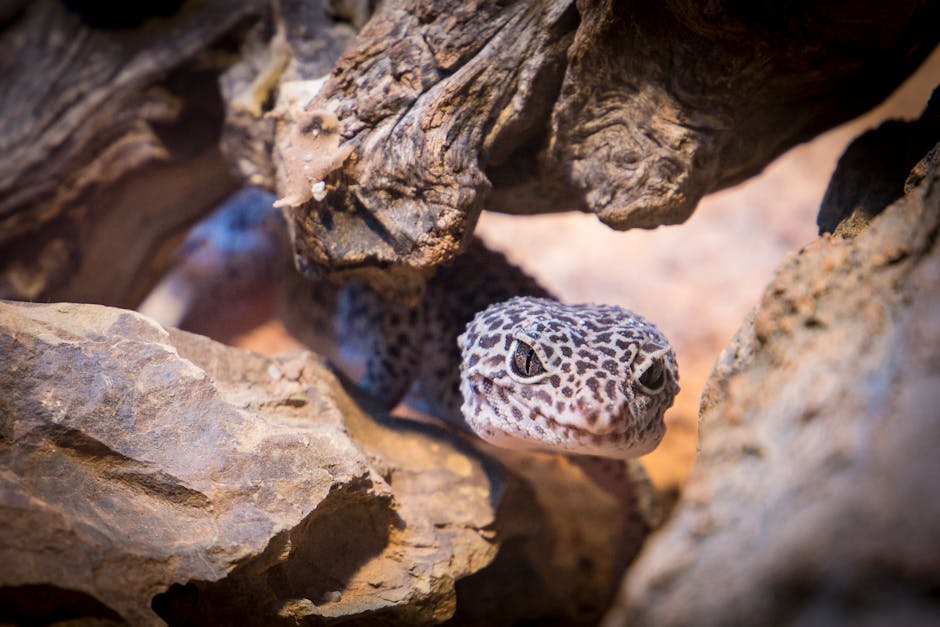 Reptiles