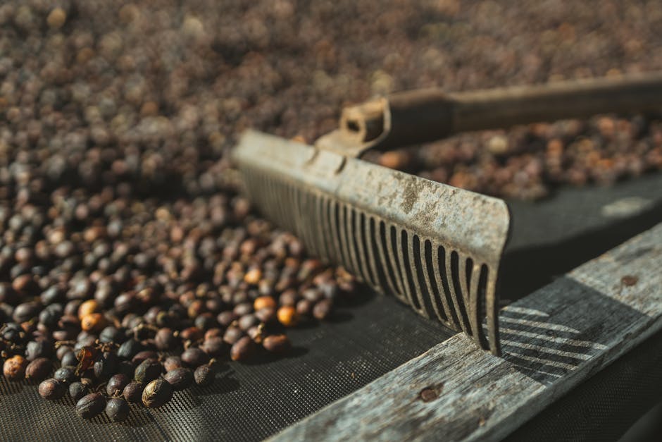 Brazil Has Been The World's Largest Coffee Producer For Over 150 Years