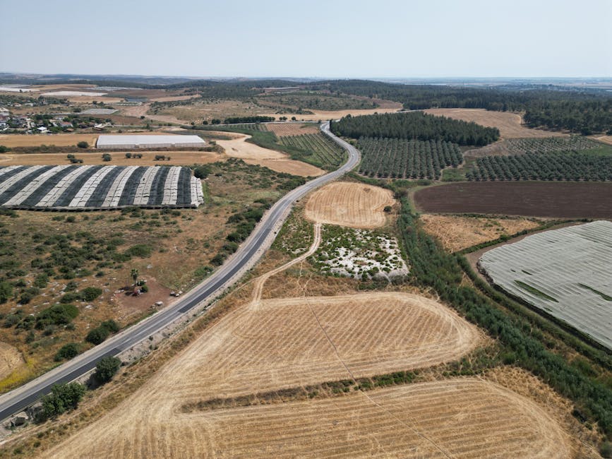 The Dead Sea Scrolls Were Discovered by a Teenage Shepherd in 1947