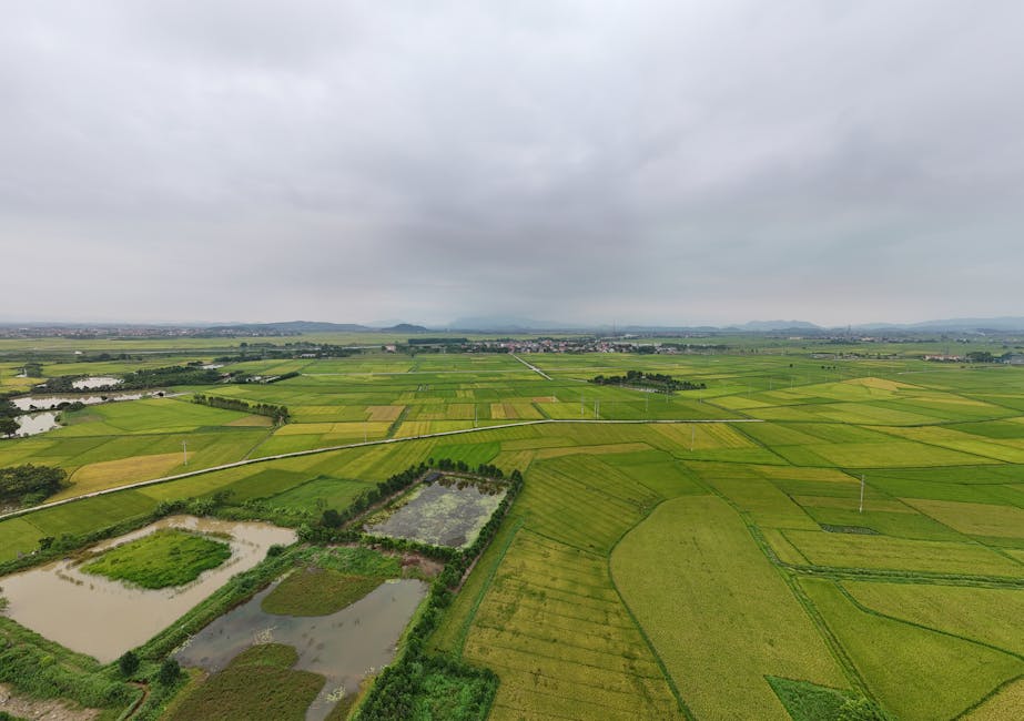 Botswana Has One of the World's Lowest Population Densities