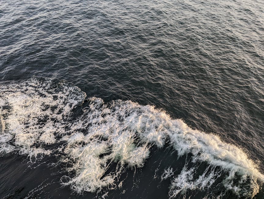 Tsunami