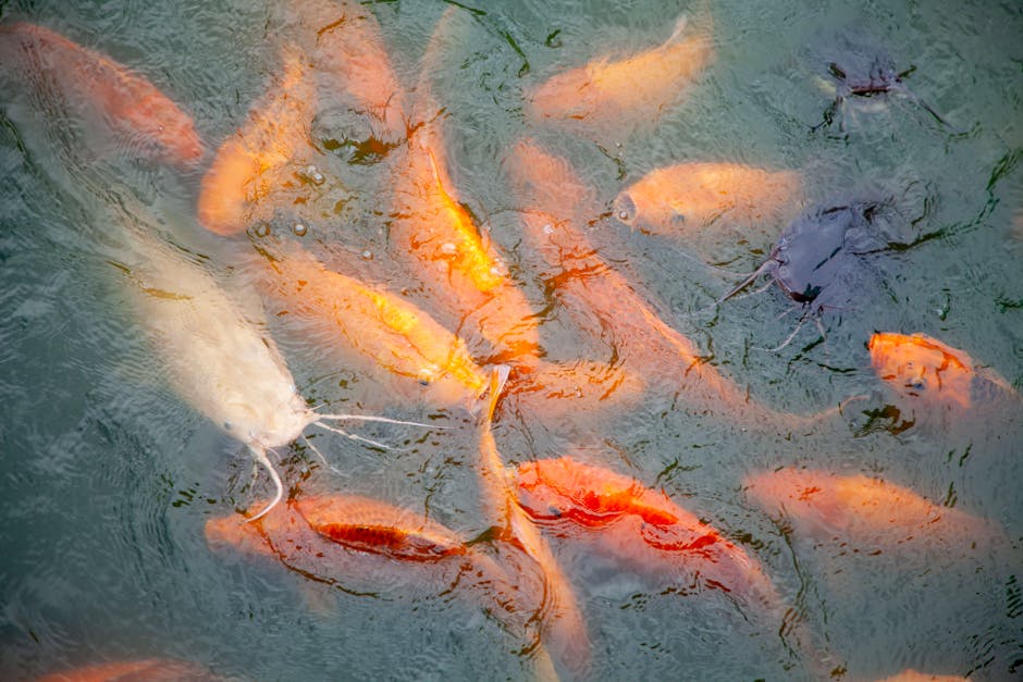 Pisces Is Associated with Mystical Sea Greens and Purples