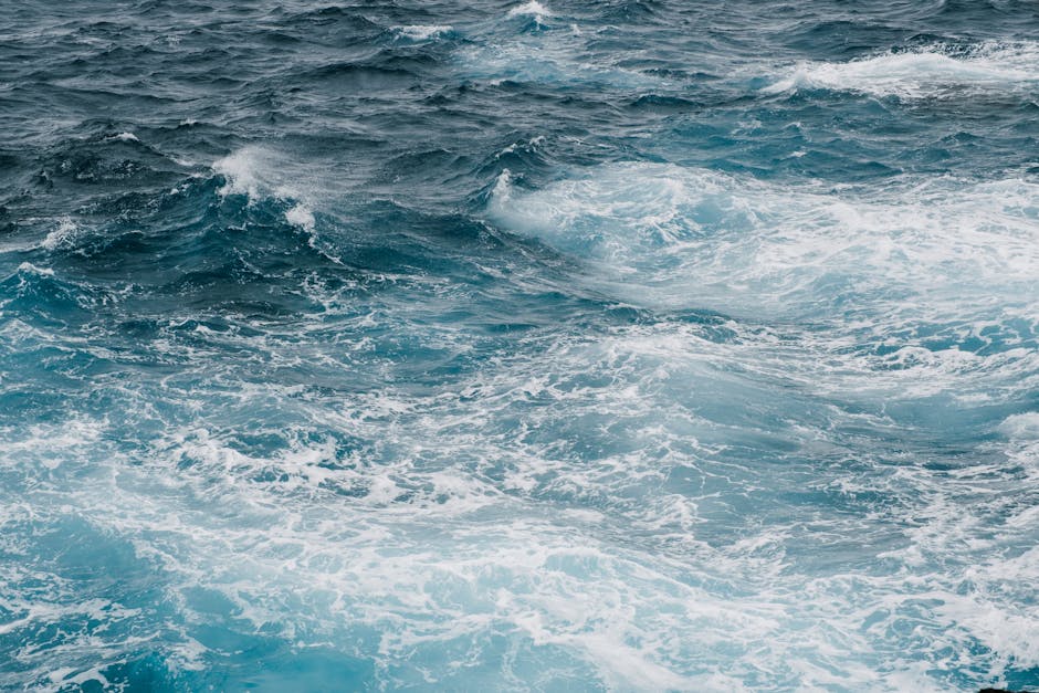 The Cayman Islands Are Actively Battling a Lionfish Invasion