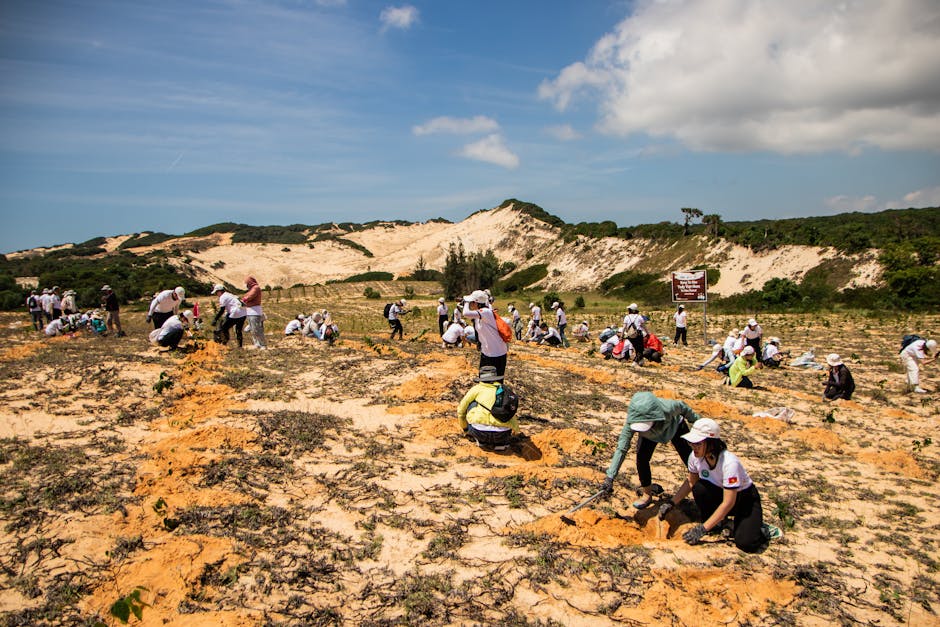 "Man Who Stopped the Desert" Single-Handedly Reforested Land