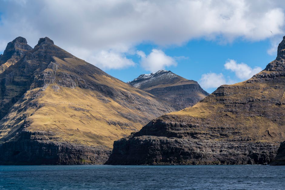 The Faroe Islands Naturally Lacks Native Trees