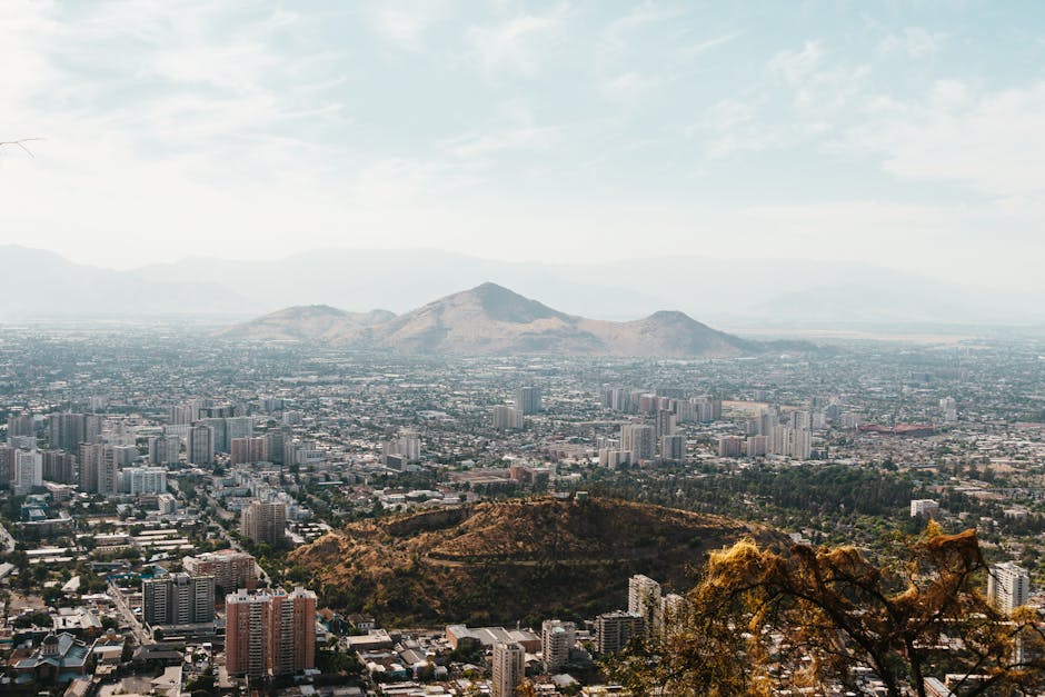 Chile's National Flower, the Copihue, Is a Protected Native Species