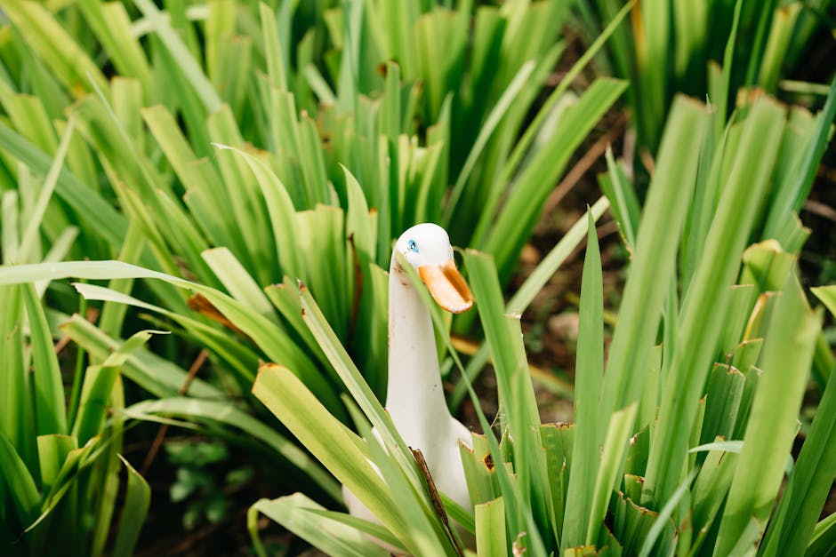 Lawn Ornament