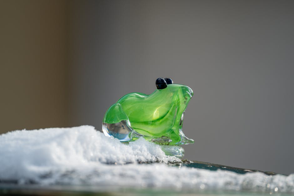 Glass Frogs Have Transparent Skin Revealing Their Organs