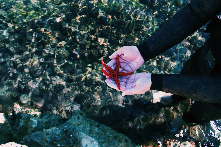 Marine Biology