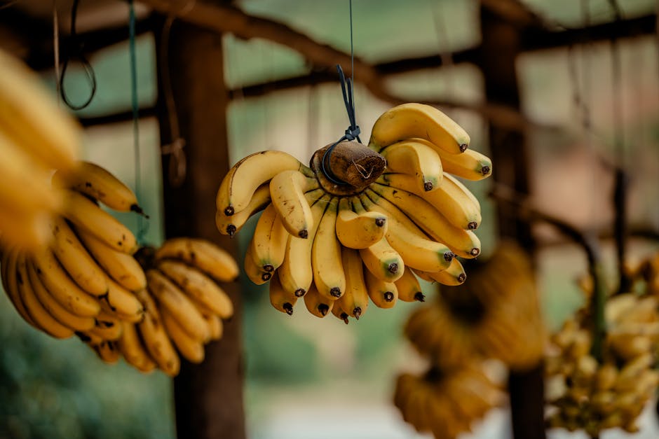 Traditional Burundian Beer, Urwarwa, Is Made From Bananas