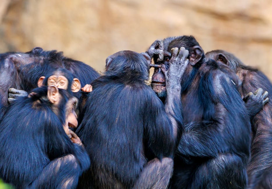 Social Behavior