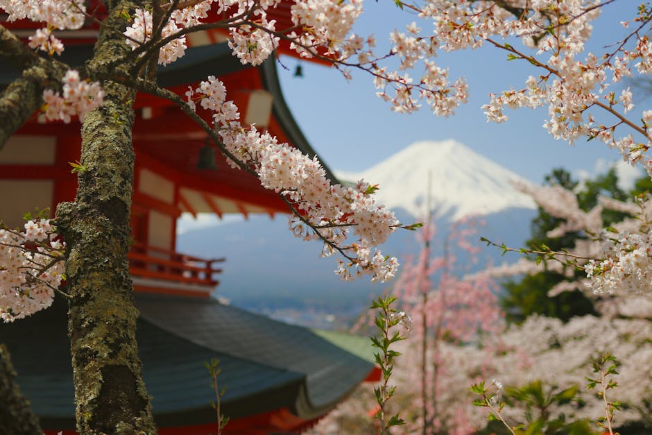 Japan Has Over 5.5 Million Vending Machines