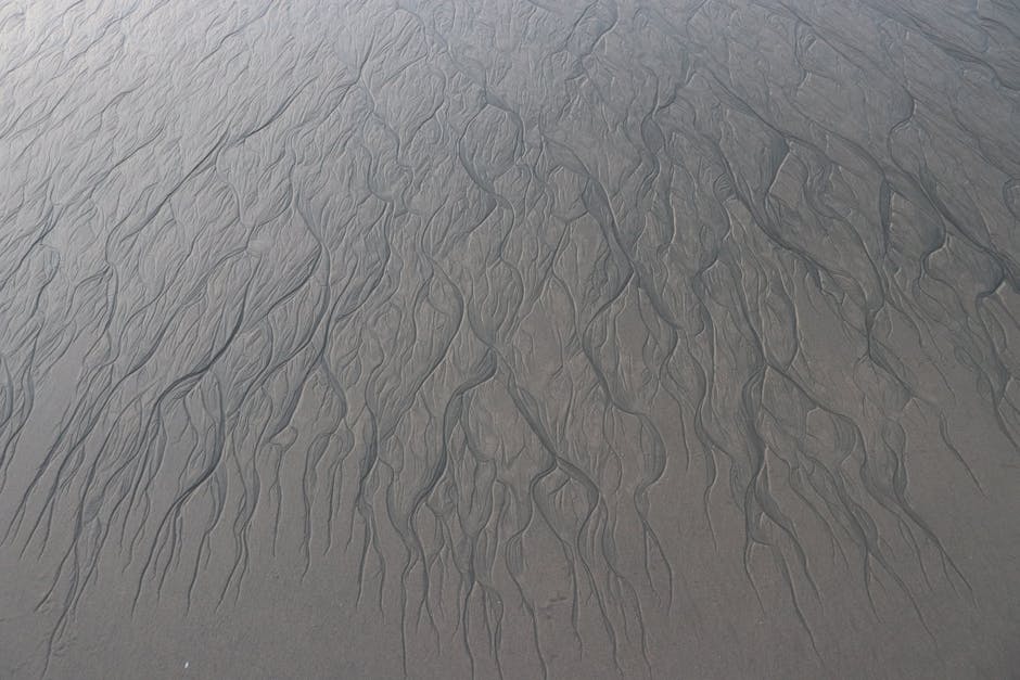 Nature Patterns