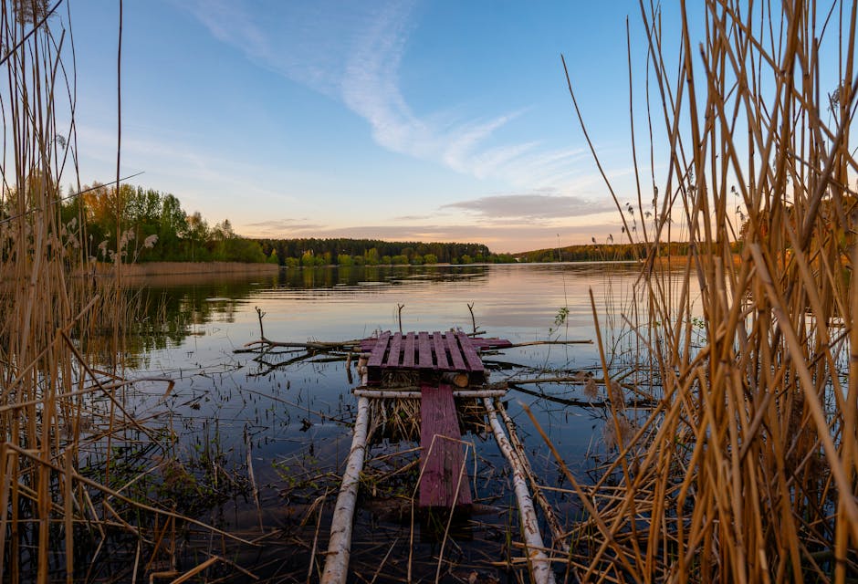 Belarus Is Known As The 'Land Of A Thousand Lakes,' Boasting Over 11,000 Natural Lakes