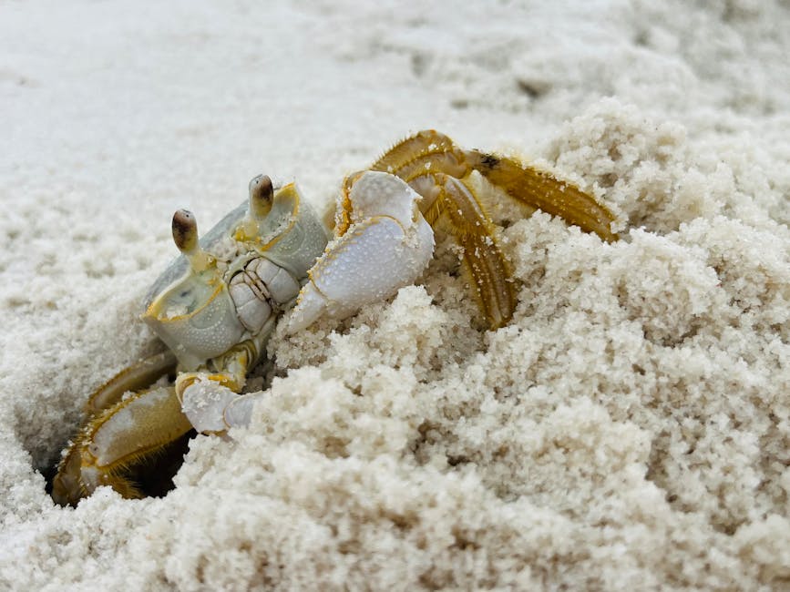 Cancers Are Fiercely Protective Of Their Inner Circle