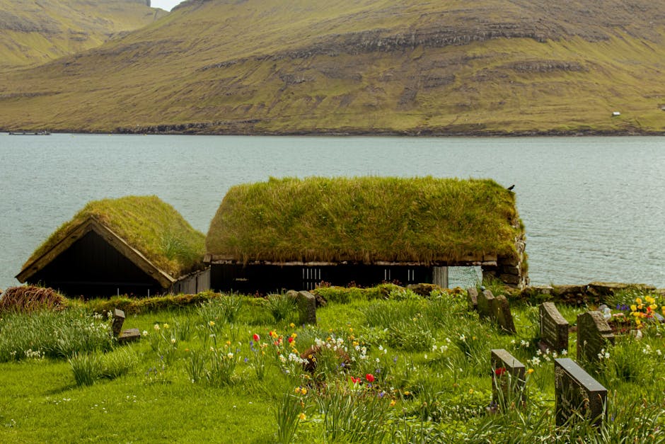 Sheep Far Outnumber Humans on the Faroe Islands