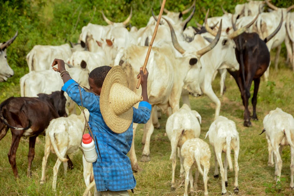 Pastoralism Remains A Cornerstone Of Chad's Culture And Economy