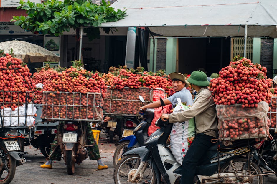 Vietnam's Coastline Is Longer Than the Country Is Wide
