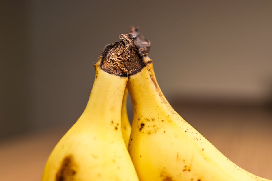 Humans Share Approximately 50% Of Their DNA With Bananas