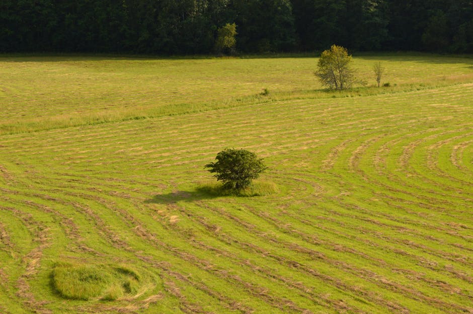 Estonians Excel In Wife Carrying Sport