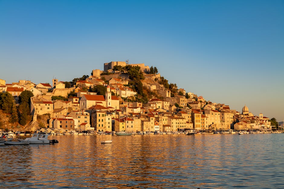Dalmatian Dogs Originated in Croatia