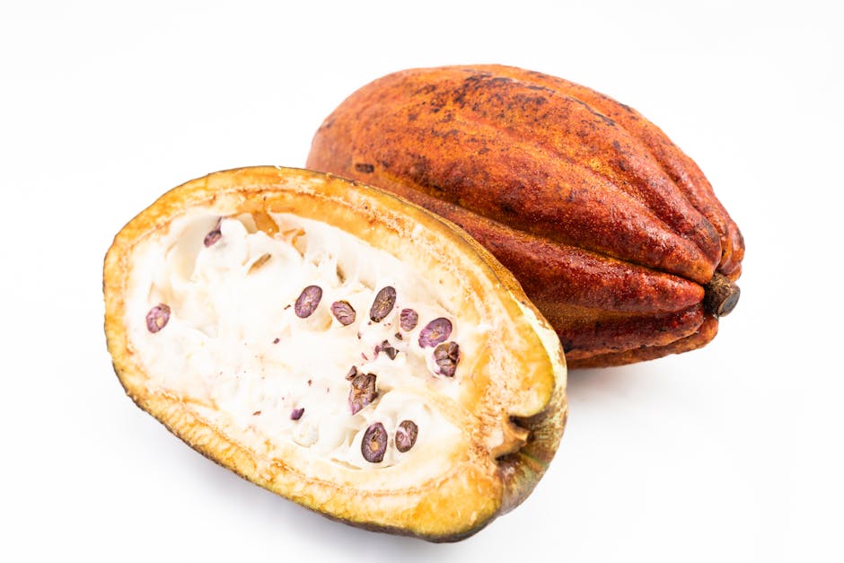 Cacao