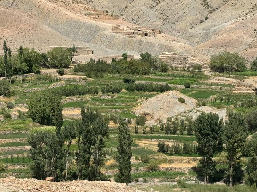 Much of the Kalahari Desert in Botswana Is Not a True Desert