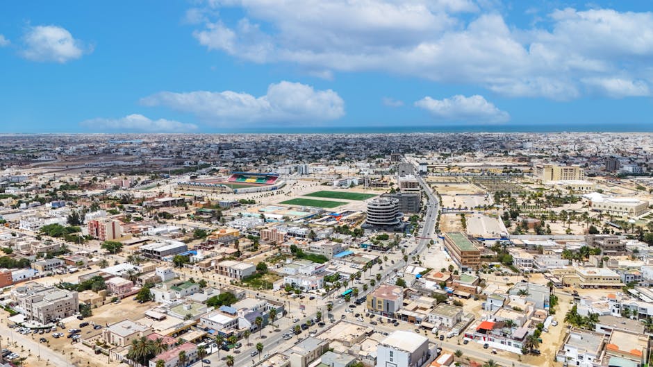 World-Renowned Whale Shark Spot