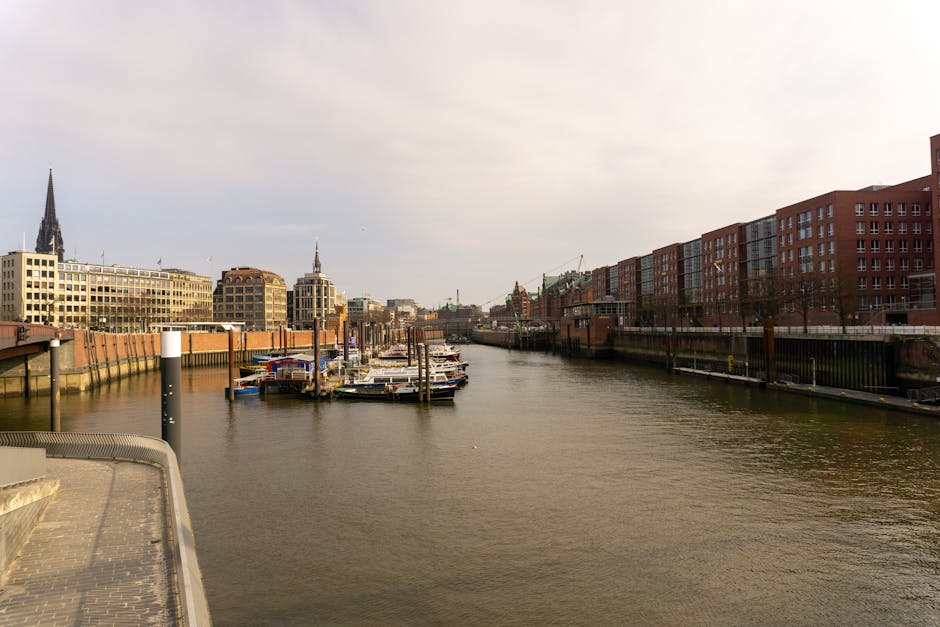 The Christmas Tree Tradition Originated in Germany