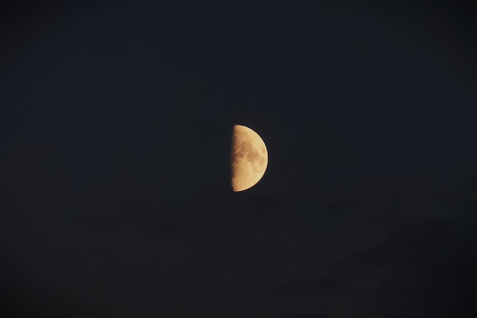 Ecliptic