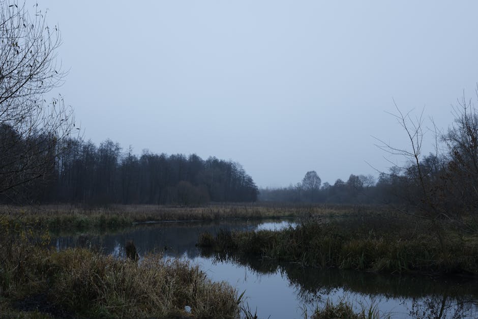 The Polesian Marshes Are Europe's Largest Untouched Wetlands, Spanning Across Belarus And Ukraine
