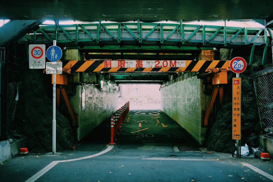 The Cretan Bull, a Beast of Legendary Strength, Was One of Hercules's Twelve Labors.