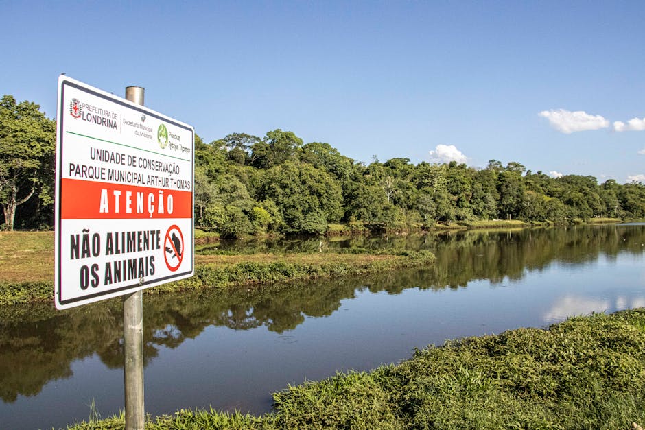 Giraffe Populations Have Declined by 40% in 30 Years