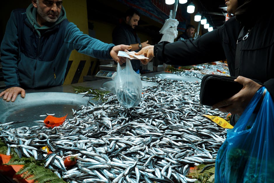 Fish Market