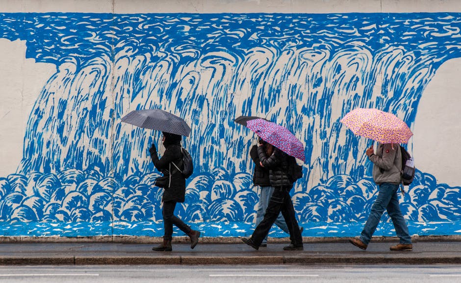 Rain