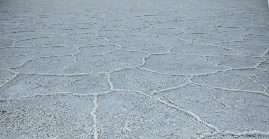 Salt Flats