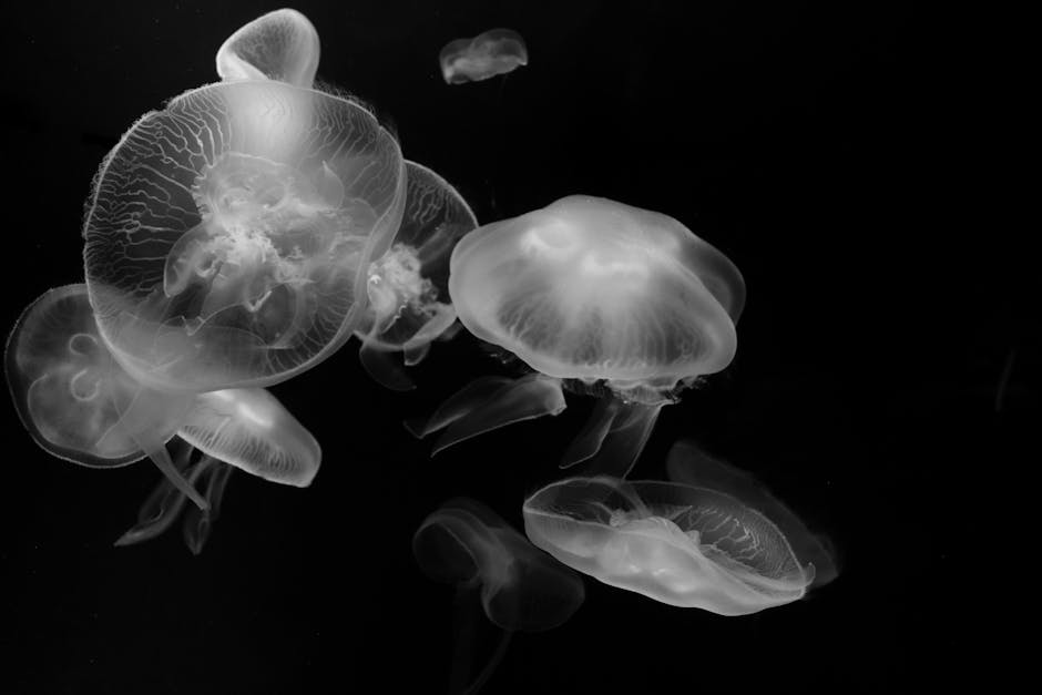 Many Deep-Sea Animals Make Their Own Light