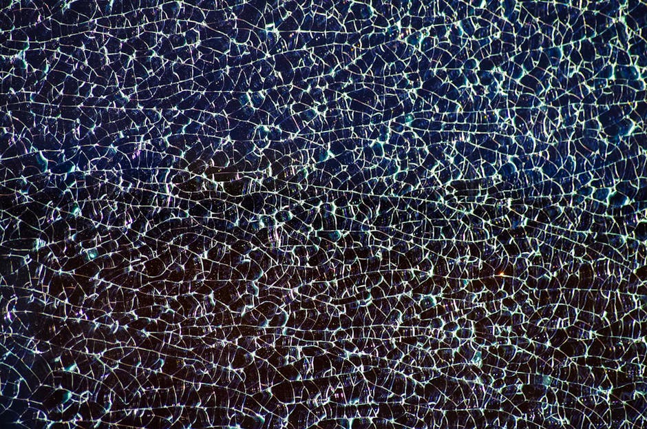 Complexity