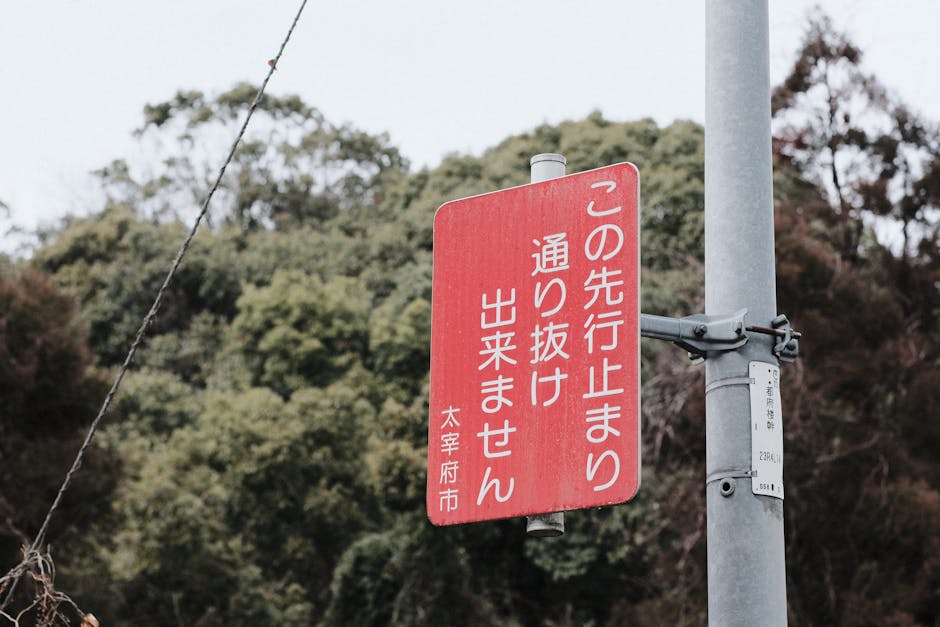 Tipping Is Considered Rude Or Confusing In Japan