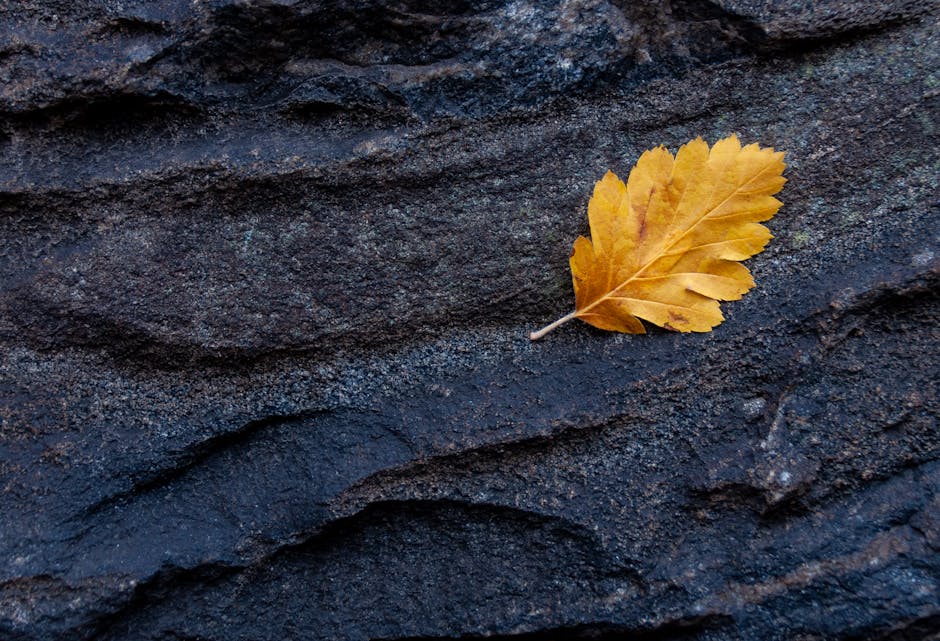 Capricorn Is An Earth Sign, Grounded in Reality