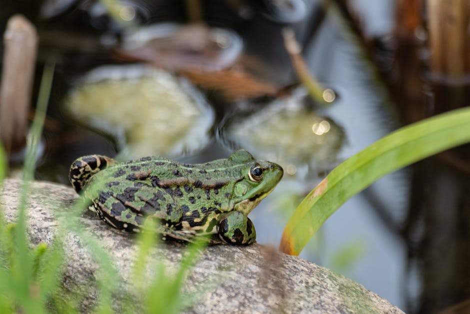 The Earliest Land Vertebrates Were Amphibian-Like Creatures