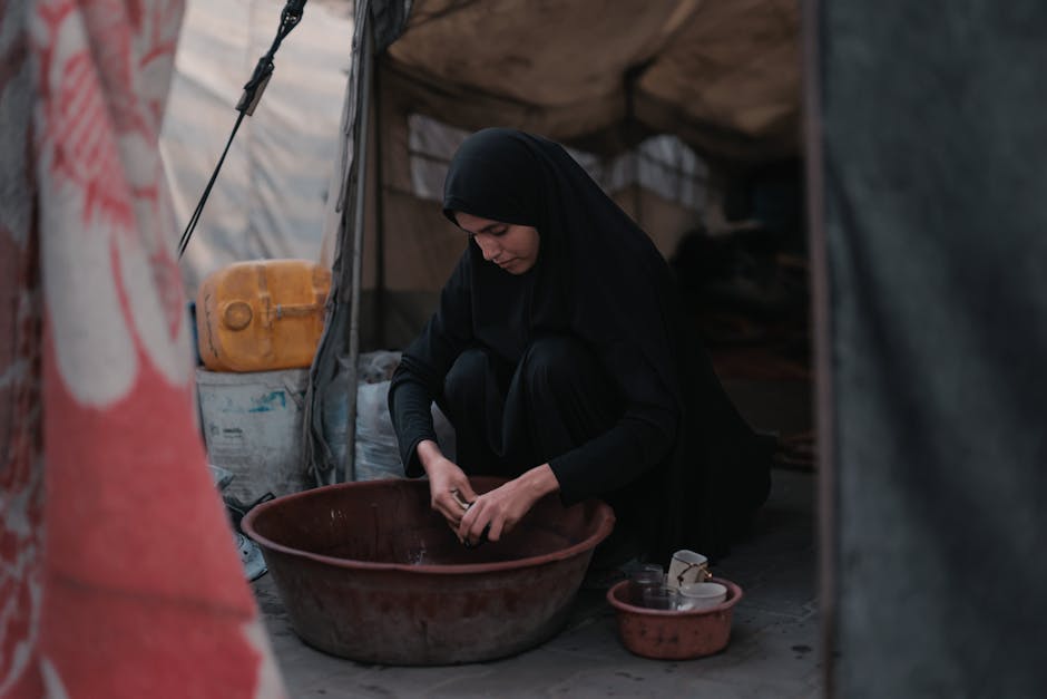 Gaza Exports High-Quality Strawberries