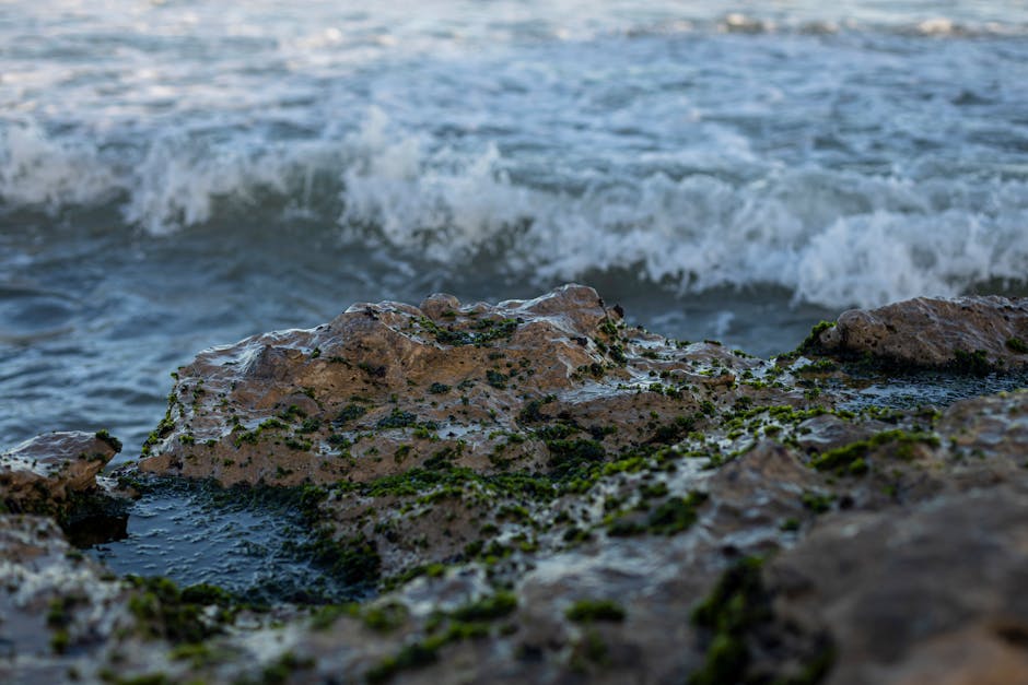Sound Travels Five Times Faster In Water Than In Air