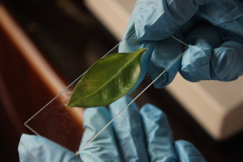 Plant Science