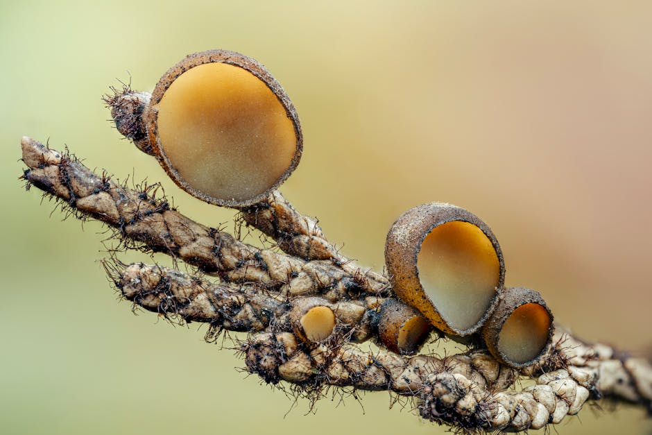 Lake Natron Can Turn Animals Into Stone Mummies