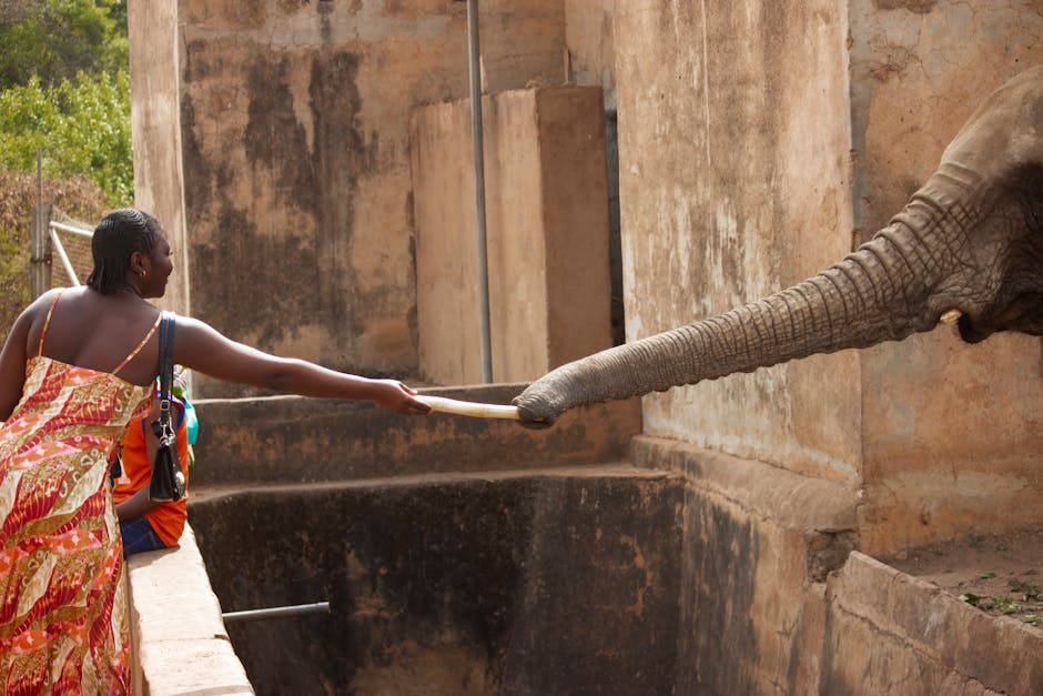 Conservation Education