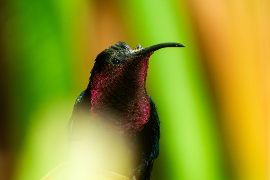 Ornithology