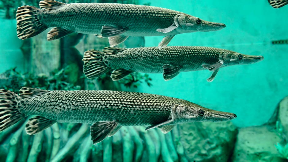 Vertebrates
